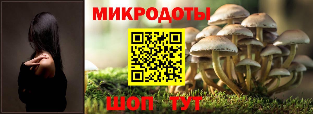 Галлюциногенные грибы Psilocybine cubensis  Псилоцибиновые грибы GOLDEN TEACHER  Вход с VPN  Верхняя Салда 